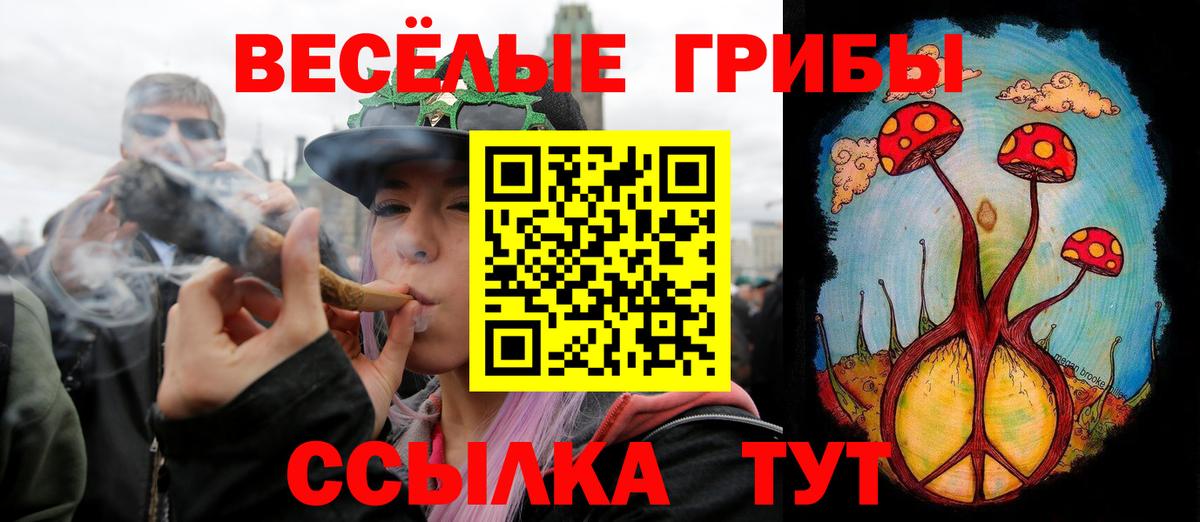 Псилоцибиновые грибы Cubensis Геленджик
